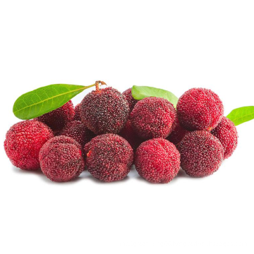 2021 Wholesale Good Quality Chinese Yang Mei Red Waxberry Sweet Red Bayberry